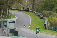 Lower Group Green Bikes